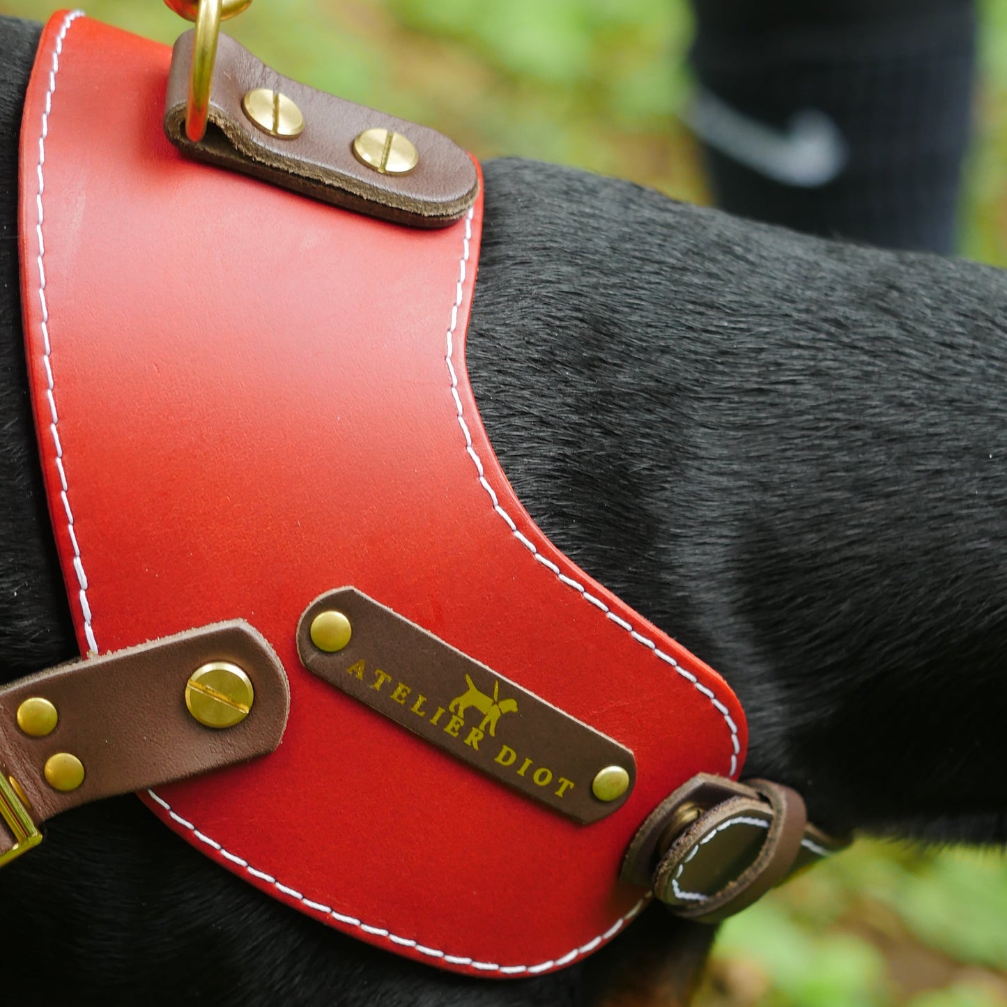 姫路レザー ノルウェージャン 犬用ハーネス カラーシリーズ 【小型~中型犬サイズ】