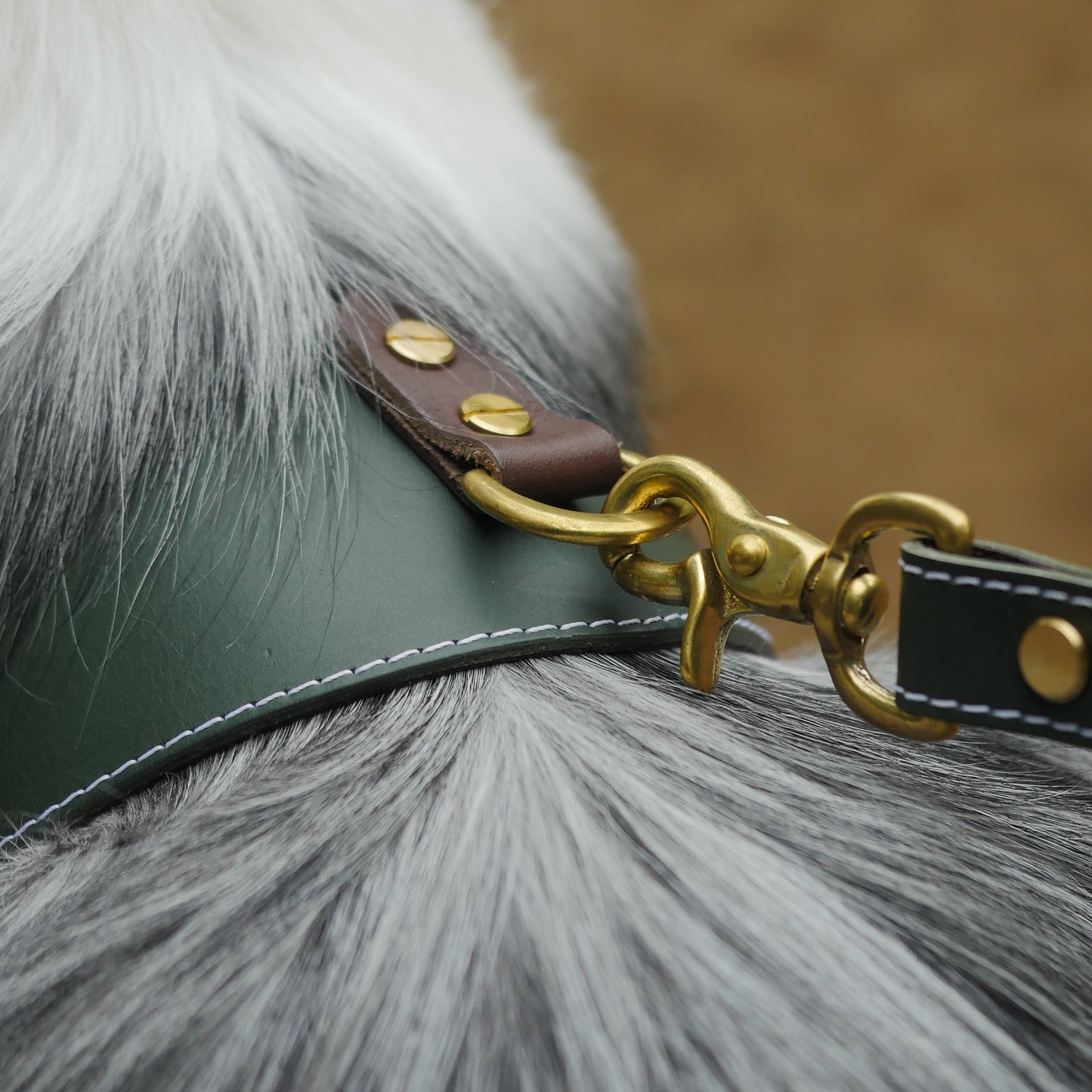 姫路レザー ノルウェージャン 犬用ハーネス カラーシリーズ 【小型~中型犬サイズ】