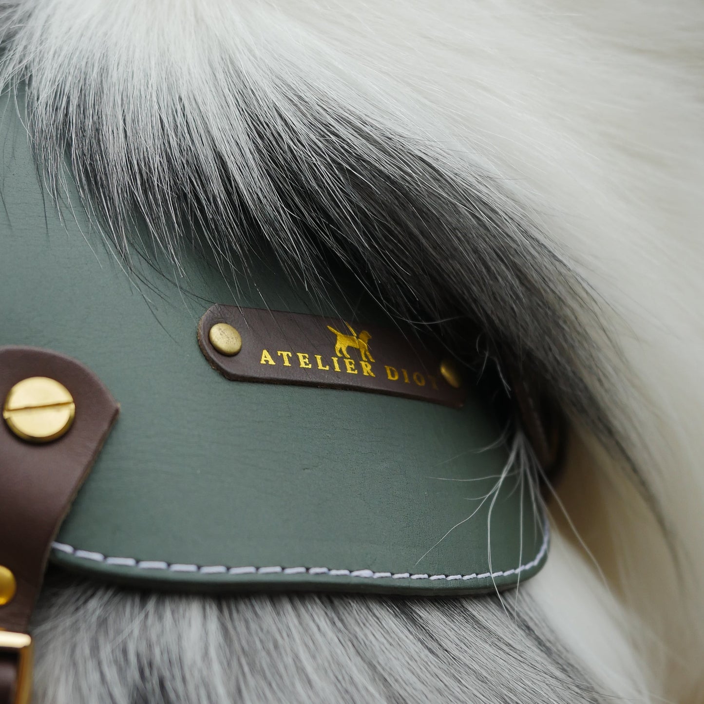 姫路レザー ノルウェージャン 犬用ハーネス カラーシリーズ 【小型~中型犬サイズ】