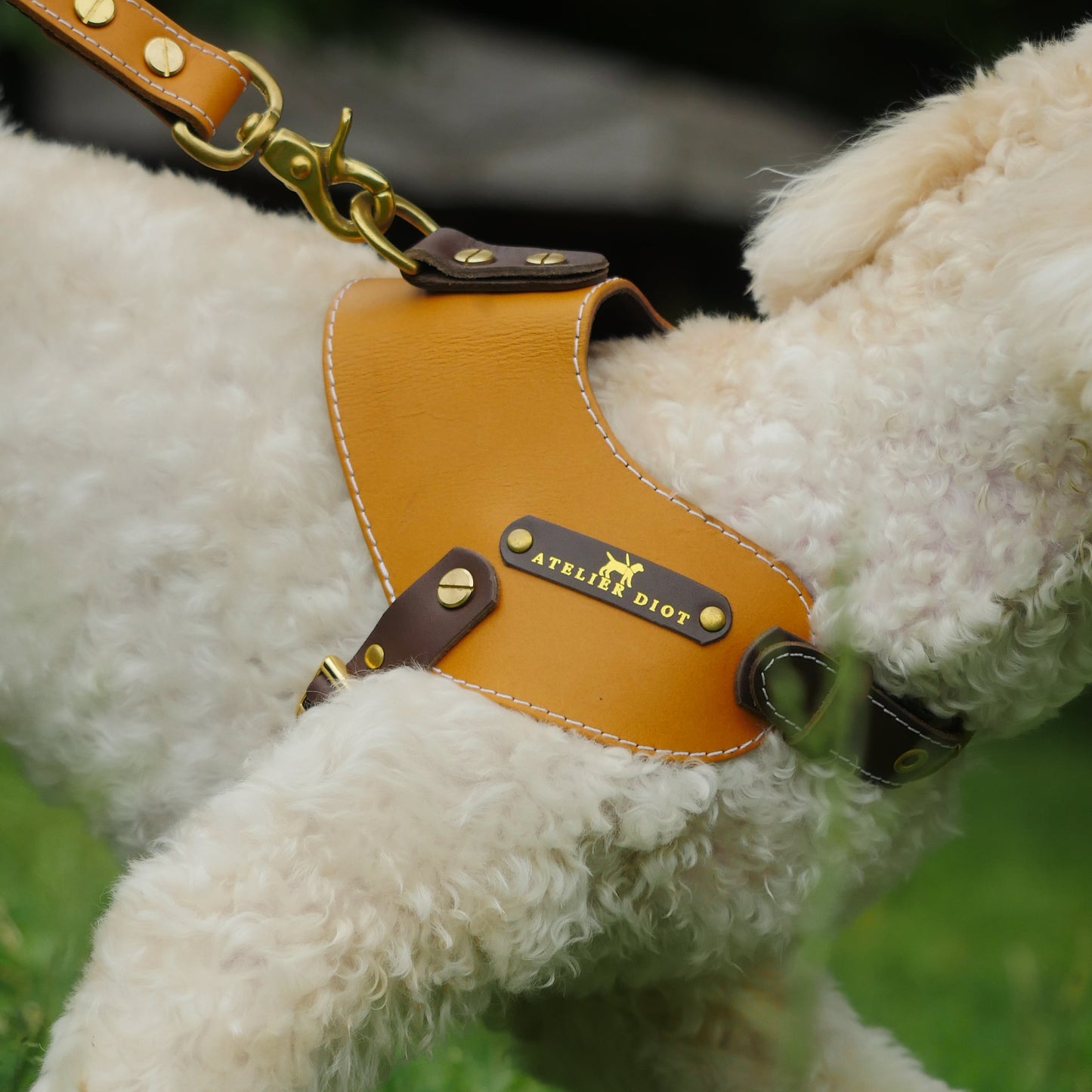 姫路レザー ノルウェージャン 犬用ハーネス カラーシリーズ 【小型~中型犬サイズ】