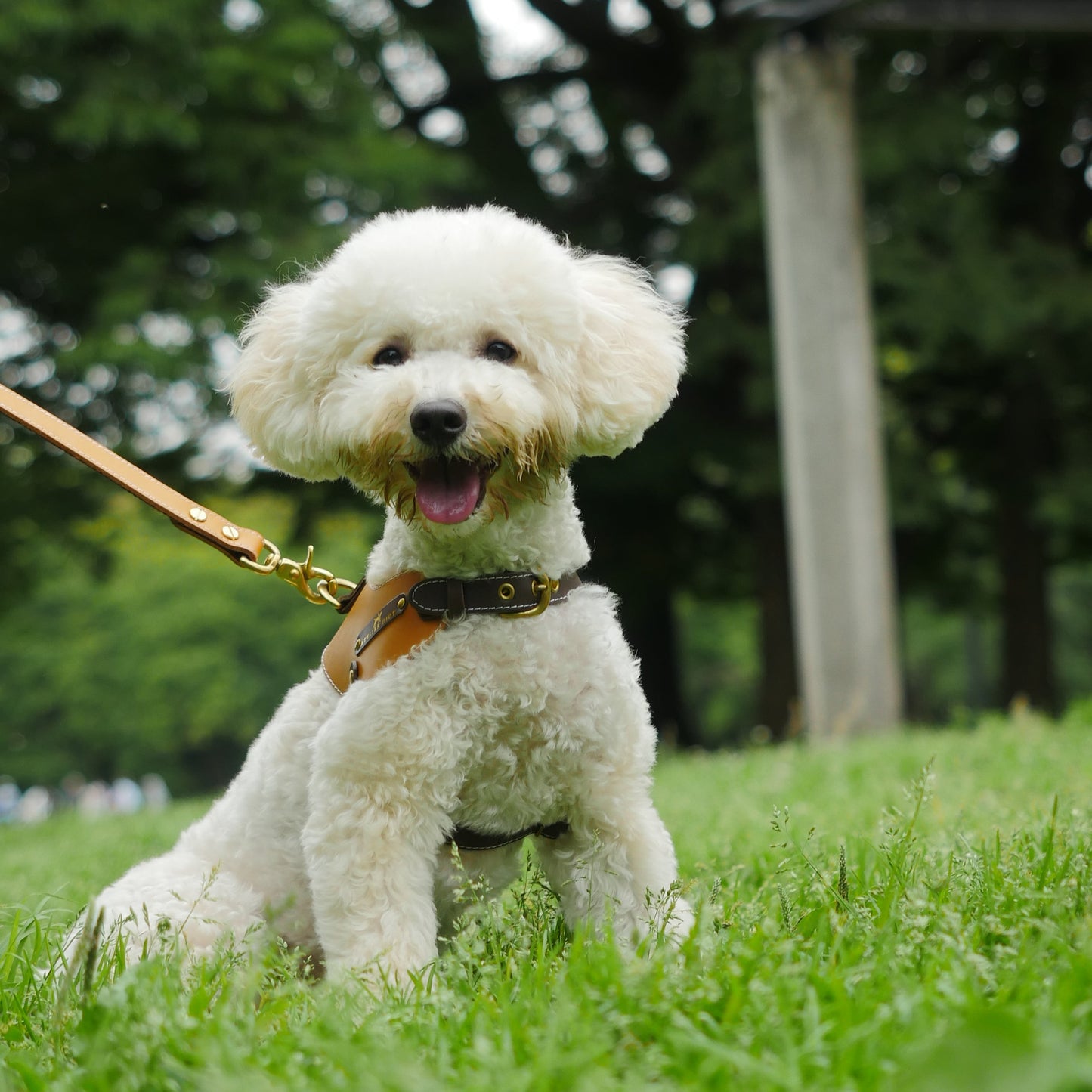 姫路レザー ノルウェージャン 犬用ハーネス カラーシリーズ 【小型~中型犬サイズ】