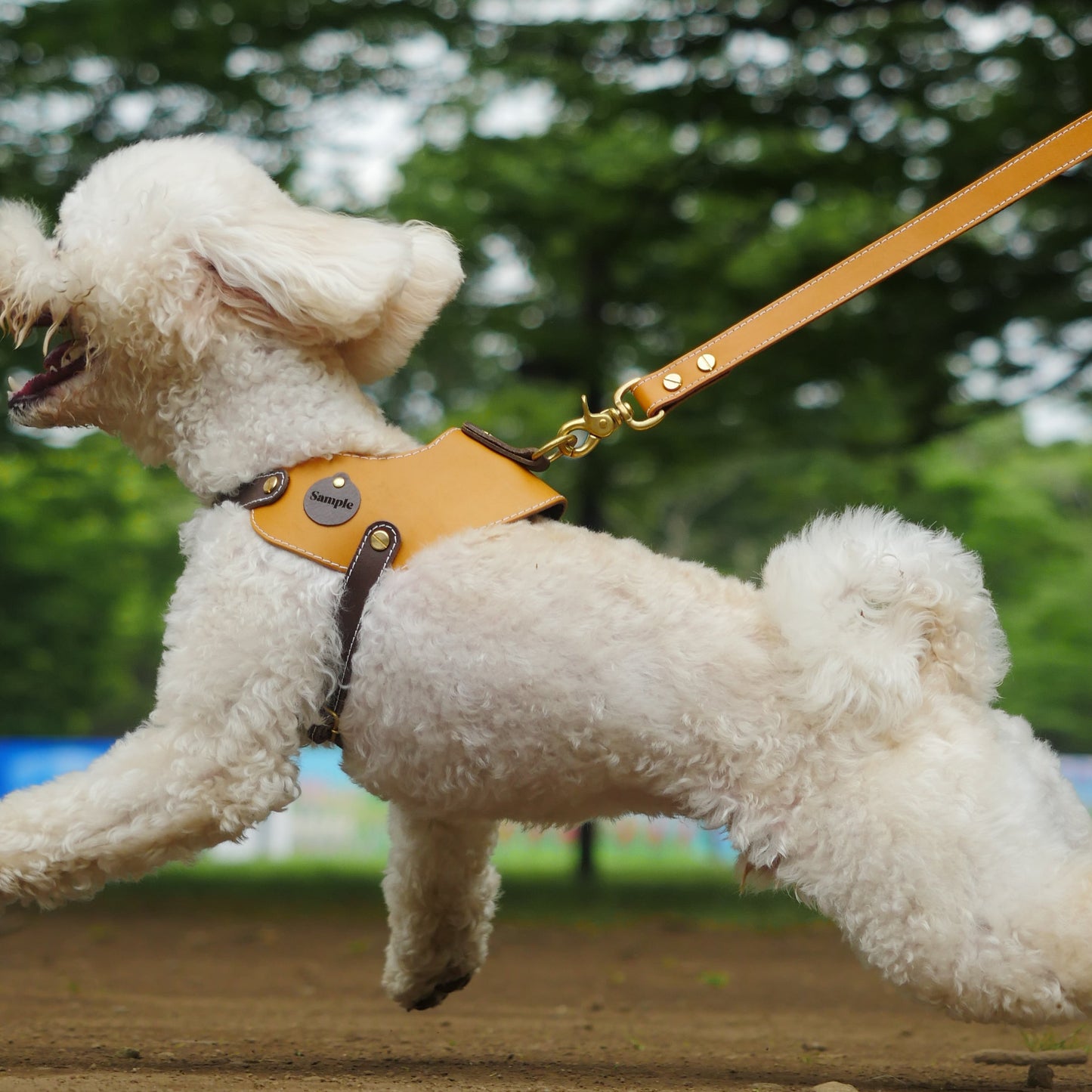 姫路レザー 犬用リード カラーシリーズ
