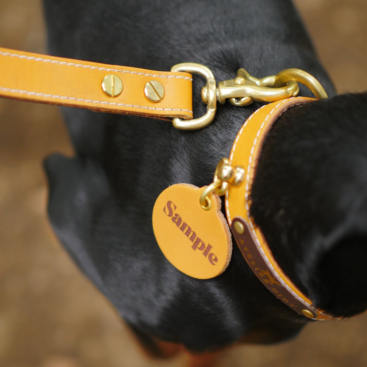姫路レザー 犬用首輪 カラーシリーズ 【小型~中型犬サイズ】