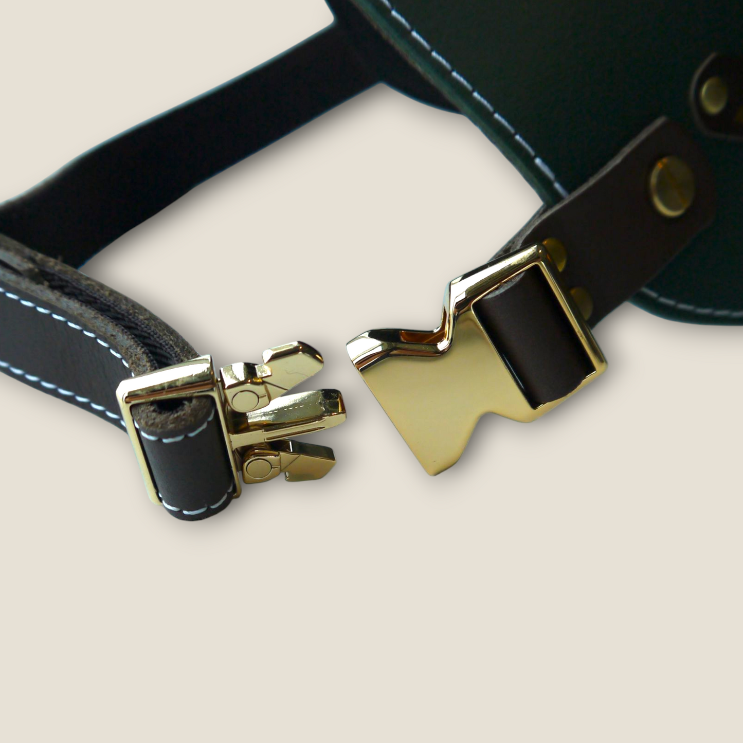 姫路レザー ノルウェージャン 犬用ハーネス カラーシリーズ 【小型~中型犬サイズ】