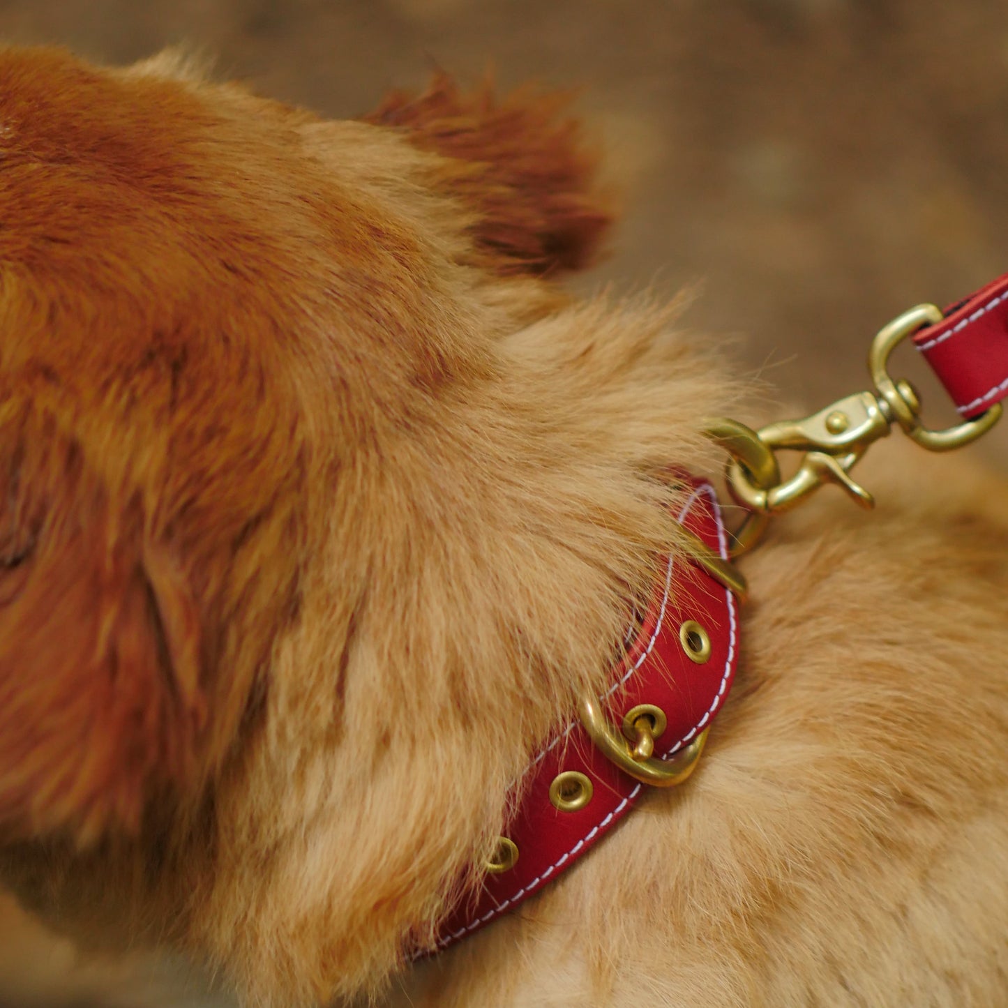 姫路レザー 犬用首輪 カラーシリーズ 【小型～中型犬サイズ】